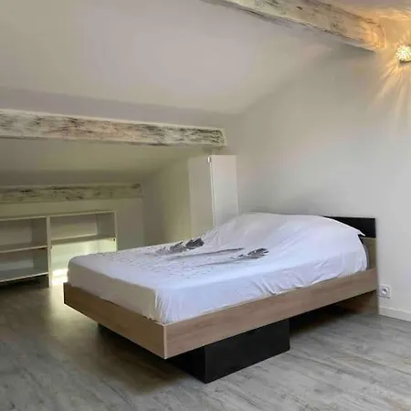 Joli T2 Avec Jacuzzi Holiday home